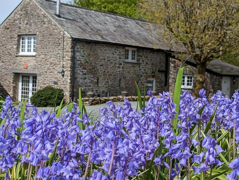 Lower Willsworthy Cottage Tavistock  Exterior foto